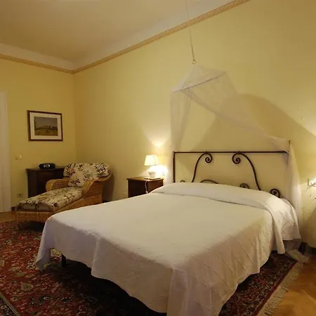 Angelica البندقية-ليدو