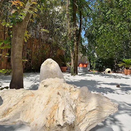 Angelica البندقية-ليدو