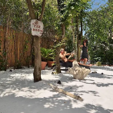 Angelica 4* Lido di Venezia